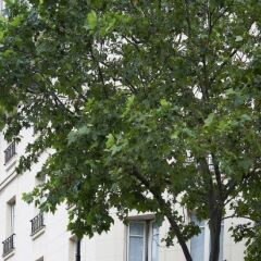 Отель de France Invalides Франция, Париж - 2 отзыва об отеле, цены и фото номеров - забронировать отель de France Invalides онлайн фото 3