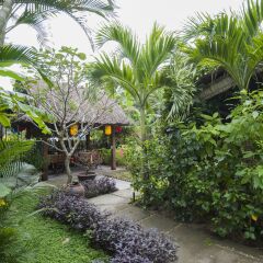 Отель An Bang Garden Homestay фото 9