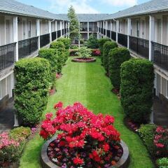 Отель Days Inn - Vancouver Metro Канада, Ванкувер - отзывы, цены и фото номеров - забронировать отель Days Inn - Vancouver Metro онлайн фото 6