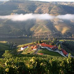 Отель Quinta Nova de Nossa Senhora do Carmo - Luxury Winery House фото 5