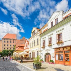 Отель Penzion U ZÁmku Мельник фото 19