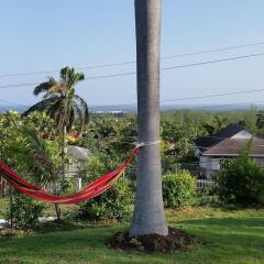 Отель A Piece of Paradise Montego Bay Ямайка, Монтего-Бей - отзывы, цены и фото номеров - забронировать отель A Piece of Paradise Montego Bay онлайн фото 2