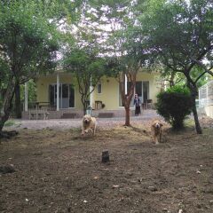 Отель Guests & Dogs House Hale Ilio Ито фото 9