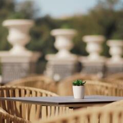 SG Astor Garden Hotel All Inclusive гостиничный бар