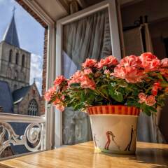 Отель B&B Bariseele балкон