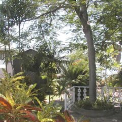 Paradise Villas in Bridgetown, Barbados from 105$, photos, reviews - zenhotels.com