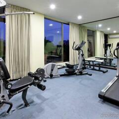 Отель Holiday Inn Suites Zona Rosa Мексика, Мехико - отзывы, цены и фото номеров - забронировать отель Holiday Inn Suites Zona Rosa онлайн фитнесс-зал