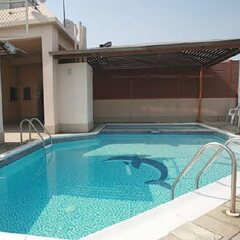 Отель Dolphin Hotel Apartments ОАЭ, Дубай - отзывы, цены и фото номеров - забронировать отель Dolphin Hotel Apartments онлайн с домашними животными