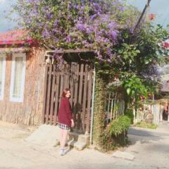 Отель Flower Homestay Далат вид на фасад