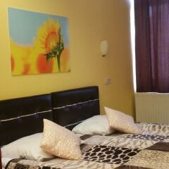 Отель Sun Rise Hotel Бельгия, Брюссель - отзывы, цены и фото номеров - забронировать отель Sun Rise Hotel онлайн комната для гостей фото 5