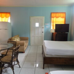 Capt. Harris Suites in Grand Anse, Grenada from 183$, photos, reviews - zenhotels.com guestroom photo 2