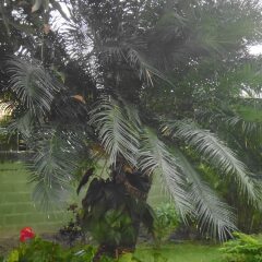 Mama's Hostel by Taprobane фото 6