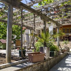 Отель Guest House Blue Coast Черногория, Будва - отзывы, цены и фото номеров - забронировать отель Guest House Blue Coast онлайн фото 4