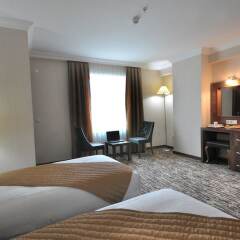 Rhiss Hotel Bostanci Турция, Стамбул - 1 отзыв об отеле, цены и фото номеров - забронировать отель Rhiss Hotel Bostanci онлайн удобства в номере