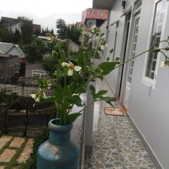Отель Homestay Nha Toi 1 Далат фото 2