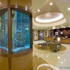 Отель Hampton Inn Washington DC - Convention Center США, Вашингтон - отзывы, цены и фото номеров - забронировать отель Hampton Inn Washington DC - Convention Center онлайн интерьер отеля