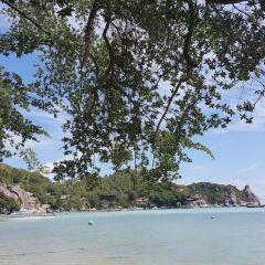 Отель Greenery Resort Koh Tao пляж