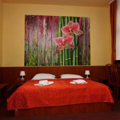 Hotel Zlatá Váha комната для гостей фото 4
