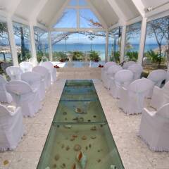 Отель Treasure Island Resort