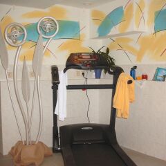 Отель Cityhotel Stadt Dresden фитнесс-зал