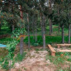 Отель Villa Casas Di Maria (Grande Casa) Армения, Цахкадзор - отзывы, цены и фото номеров - забронировать отель Villa Casas Di Maria (Grande Casa) онлайн фото 4