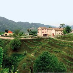 Отель Relais Duca di Dolle Чизон-Ди-Вальмарино приотельная территория фото 2