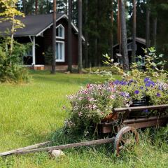 Гостиница Царство Королевство фото 10