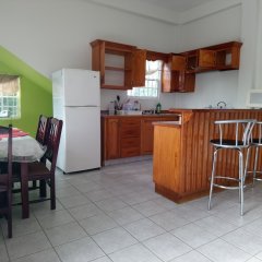 GreenzCove Apartments in Grand Anse, Grenada from 131$, photos, reviews - zenhotels.com photo 2