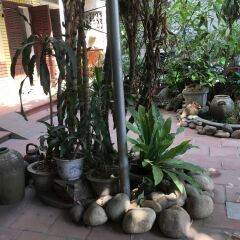 Отель Halo Bay Homestay