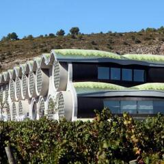 Cava & Hotel Mastinell фото 16