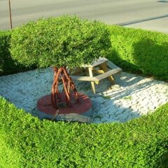 Отель Swiss Cottage Inn США, Ниагара-Фолс - 1 отзыв об отеле, цены и фото номеров - забронировать отель Swiss Cottage Inn онлайн детские мероприятия фото 2
