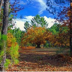 Отель Finca La Viriñuela Фуэнтес-де-Леон фото 15
