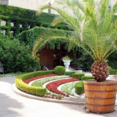 Hotel Imperial развлечения