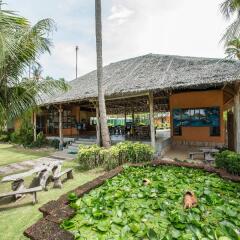 Отель Phi Phi Island Village Beach Resort Таиланд, Краби - 2 отзыва об отеле, цены и фото номеров - забронировать отель Phi Phi Island Village Beach Resort онлайн развлечения