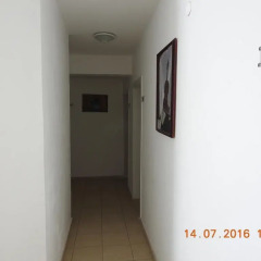 zenhotels com