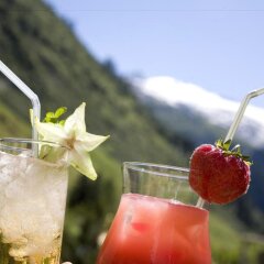 Hotel Alpenhof с домашними животными