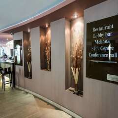 Park Hotel Gardenia гостиничный бар