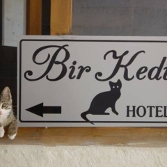 Отель Bir Kedi Villa с домашними животными