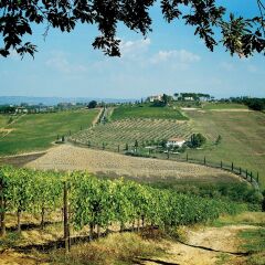 Отель Poderi Arcangelo Италия, Сан-Джиминьяно - 1 отзыв об отеле, цены и фото номеров - забронировать отель Poderi Arcangelo онлайн спа