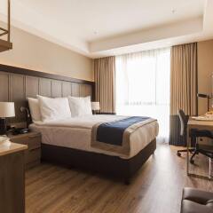 Holiday Inn Kayseri - Duvenonu Турция, Кайсери - отзывы, цены и фото номеров - забронировать отель Holiday Inn Kayseri - Duvenonu онлайн комната для гостей фото 4