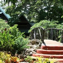 Отель Bamboo Rooms & Cottages by Dang Maria BB Филиппины, Пуэрто-Принцеса - отзывы, цены и фото номеров - забронировать отель Bamboo Rooms & Cottages by Dang Maria BB онлайн фото 12