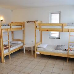 10 Coins Hostel детские мероприятия фото 5