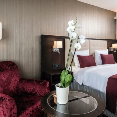 Отель Wyndham Grand Conference Center Зальцбург в номере