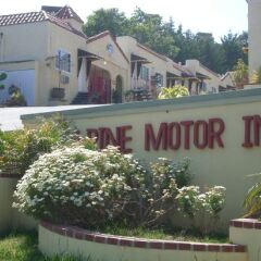 Отель The Alpine Inn & Suites фото 2