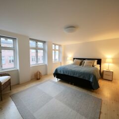 Апартаменты Two-Story LUX Apartment in Heart of Cph комната для гостей фото 3