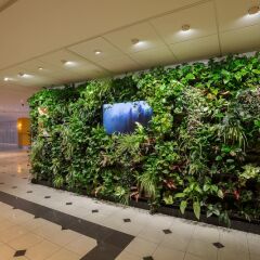 Thon Hotel Brussels City Centre интерьер отеля фото 2