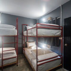 Bed Hostel детские мероприятия фото 3