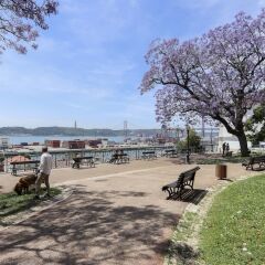 Отель Santos River View by Homing