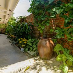 Отель Blue Beach Village Homestay