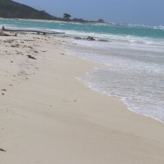 Отель Beach Palm Villa пляж